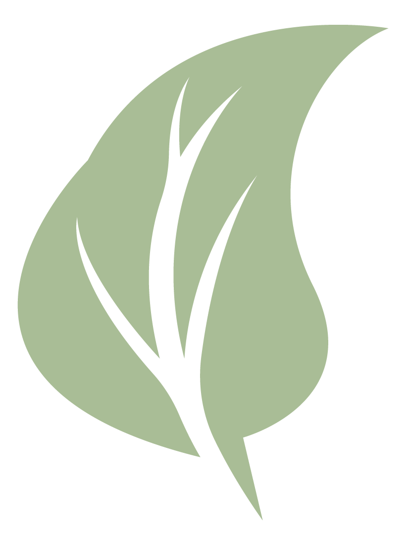 Blatt (4)