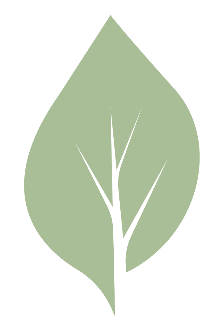 Blatt (5)